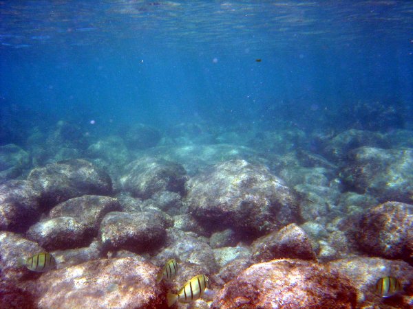 A little murkey but lots of fun!